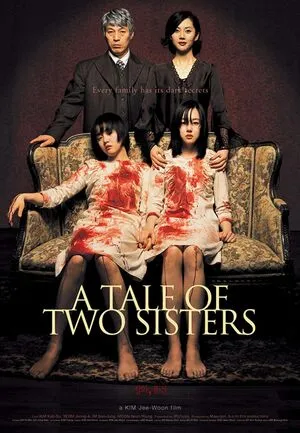 A Tale of Two Sisters 2003 Hindi Dual Audio