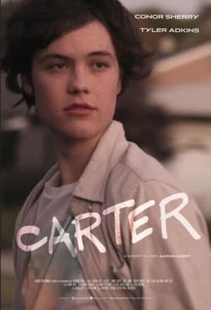 Carter (2022) Hindi Dual Audio – 480p