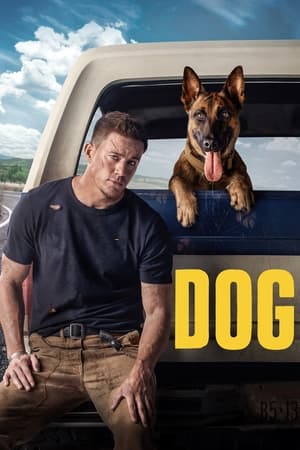 Dog (2022) Hindi Dual Audio – 480p