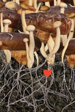 Heaven (2022) Hindi Movie – 480p