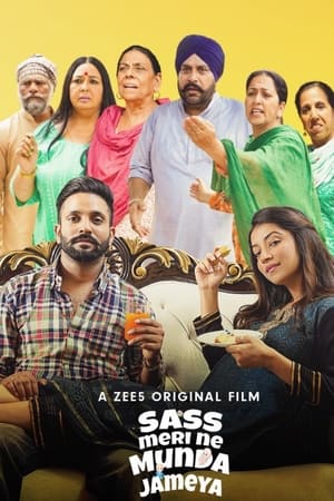 Sass Meri Ne Munda Jameya 2022 Punjabi Movie – 480p