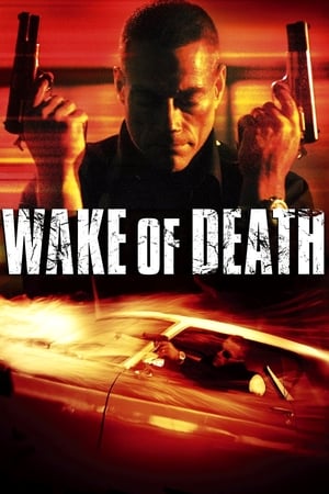 Wake of Death 2004 Hindi Dual Audio [1GB]